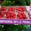 Инвестици в  проект по созданию итальянской ягодной сети