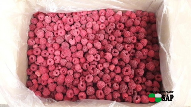 Україна встановила рекорд з експорту замороженої малини