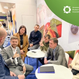 Новий етап у розвитку ягідної галузі: створено Українську асоціацію виробників чорниці