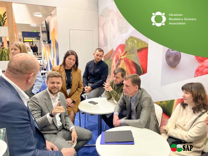 Новий етап у розвитку ягідної галузі: створено Українську асоціацію виробників чорниці