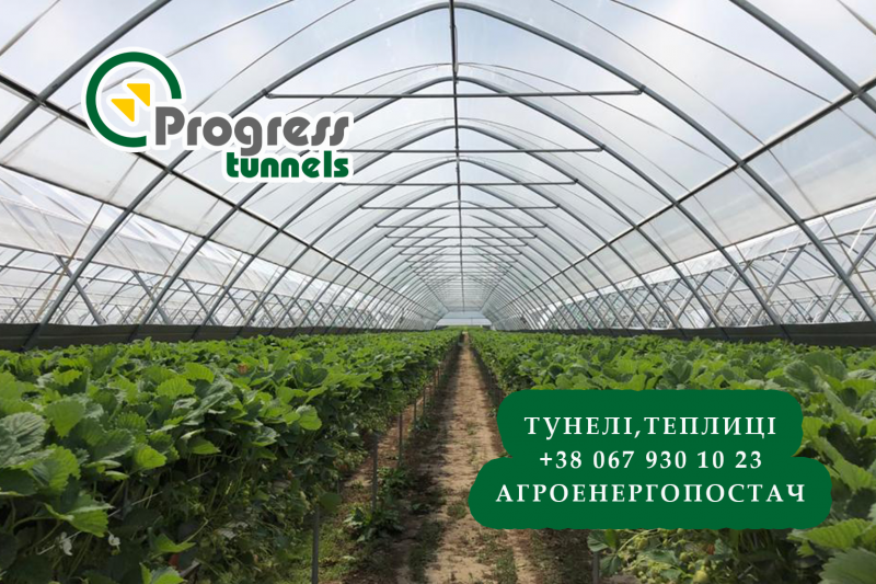ProgressTunnels в Украине