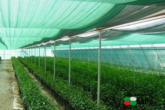 Затеняющая сетка 40%.