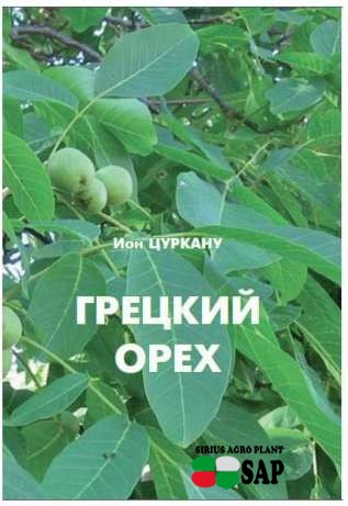 Книга "Грецкий орех"
